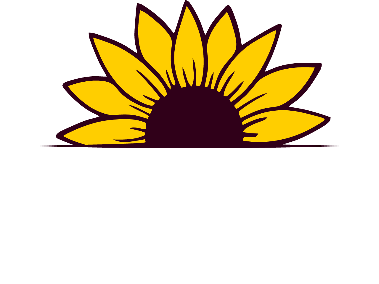Pflegedienst Betreuungszentrum am Wall GmbH in Güstrow